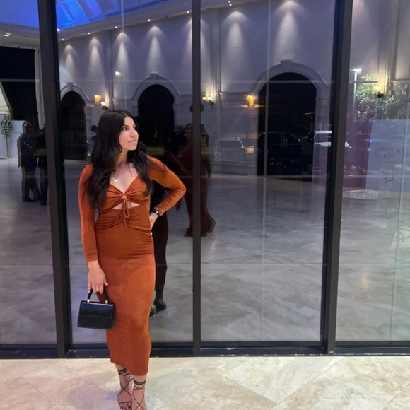 New with tags - Minkpink Azra Fitted Midi Ginger Dress Size Xsmall & XLarge - Picture 3 of 7